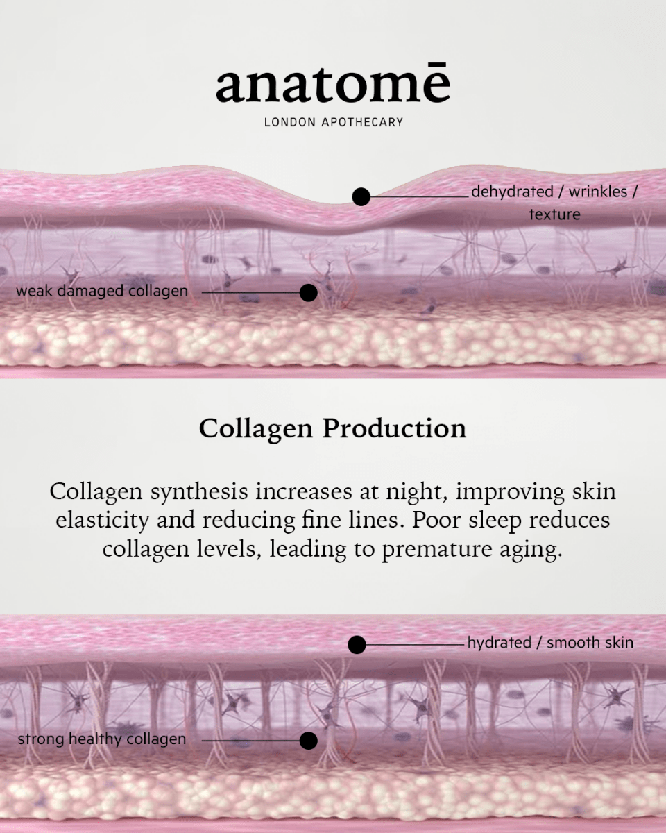 Illuminating Rose-hip, Grape Seed &amp; Avocado Face Oil