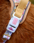 Pastel Petals - Dog Collar + ID Tag Holder