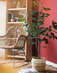 Artificial Silk Fig Tree In Pot