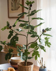 Artificial Silk Fig Tree In Pot