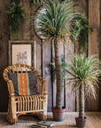 Moroccan Artificial Palm Tree In Pot