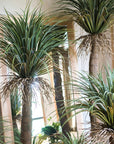 Moroccan Artificial Palm Tree In Pot