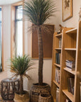 Moroccan Artificial Palm Tree In Pot