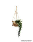 Jhuri Single Hanging Basket