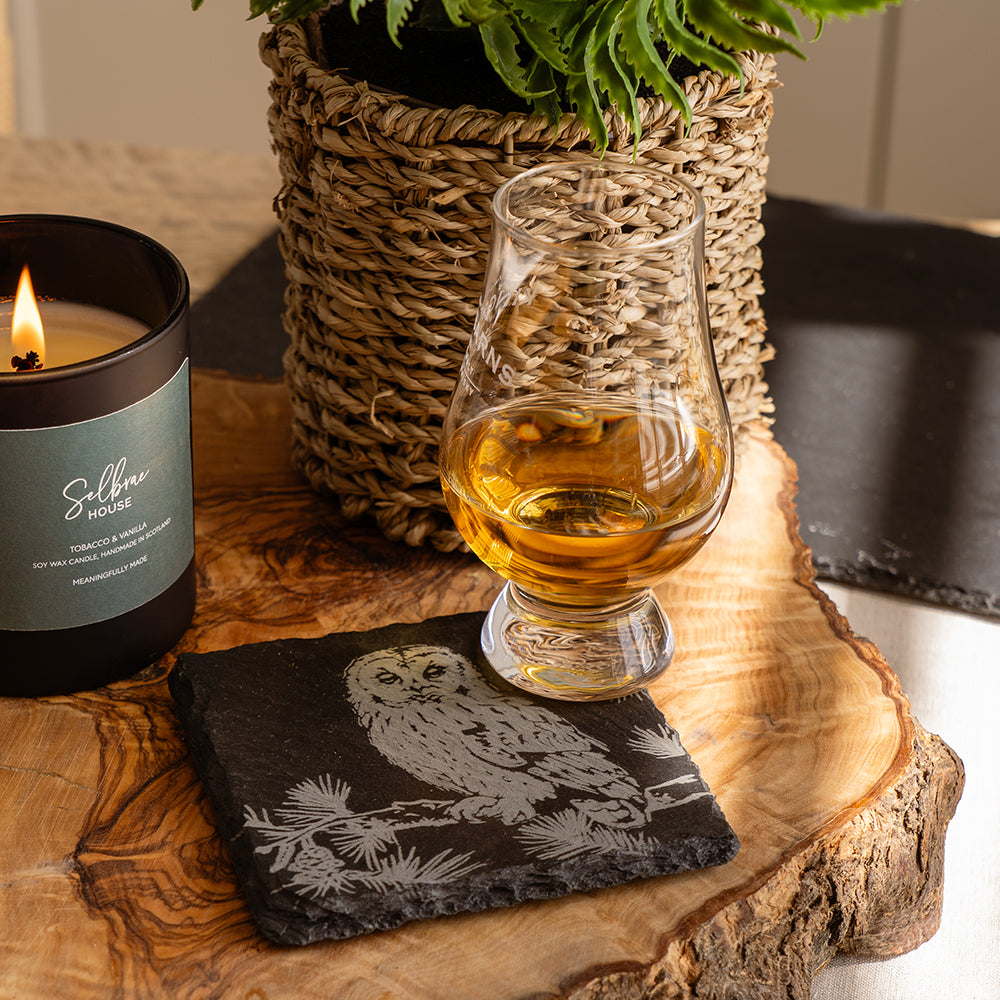Tawny Owl Single Slate Coaster