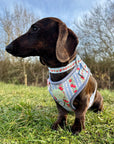 Eden's Orchard - Dog Collar + ID Tag Holder