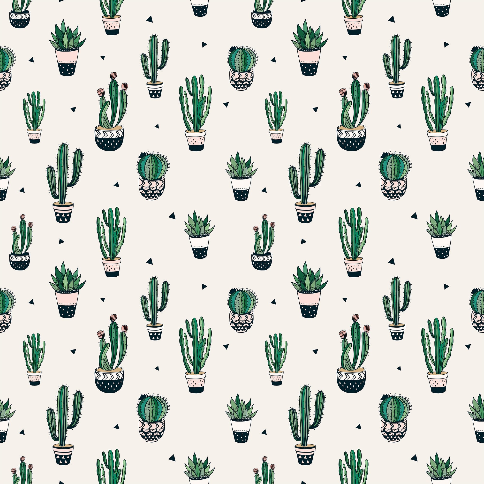 Cactus Wallpaper Juss