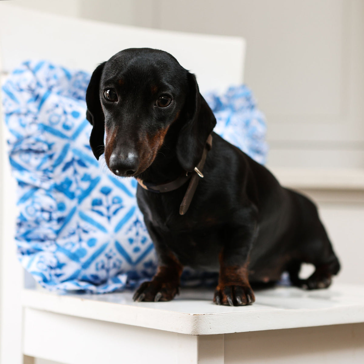 Blue Trellis Cushion Cover