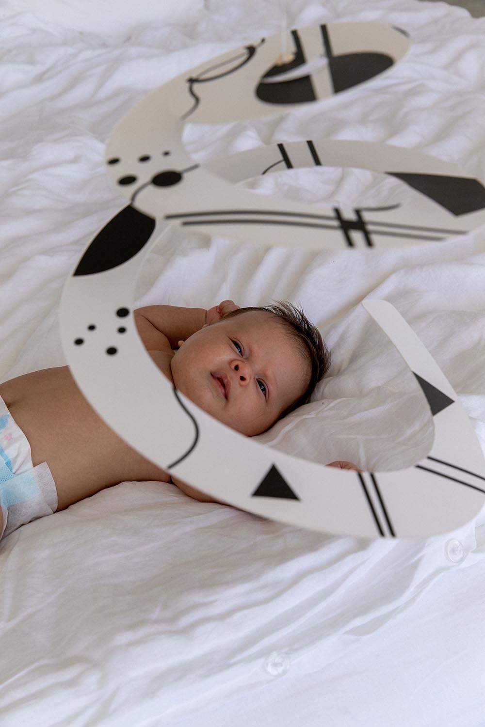 SEAGULL Mobile hanger-3