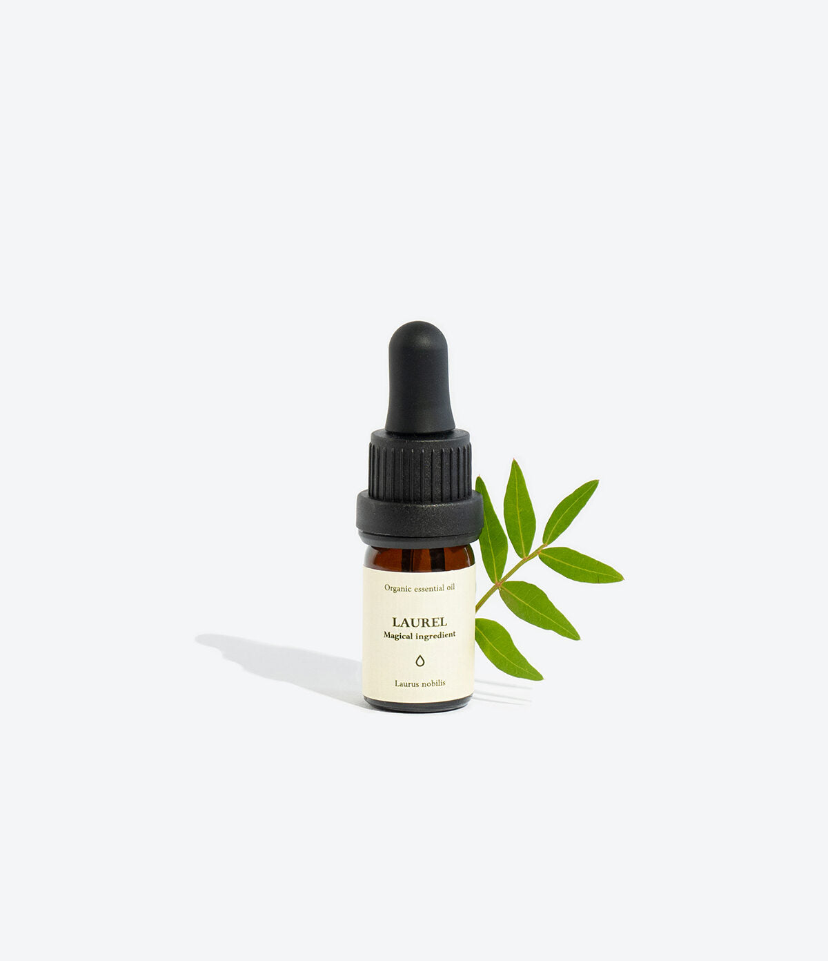 Organic Laurel Essential Oil – Boost Confidence & Harmony by Smells Like Spells at www.brixbailey.com