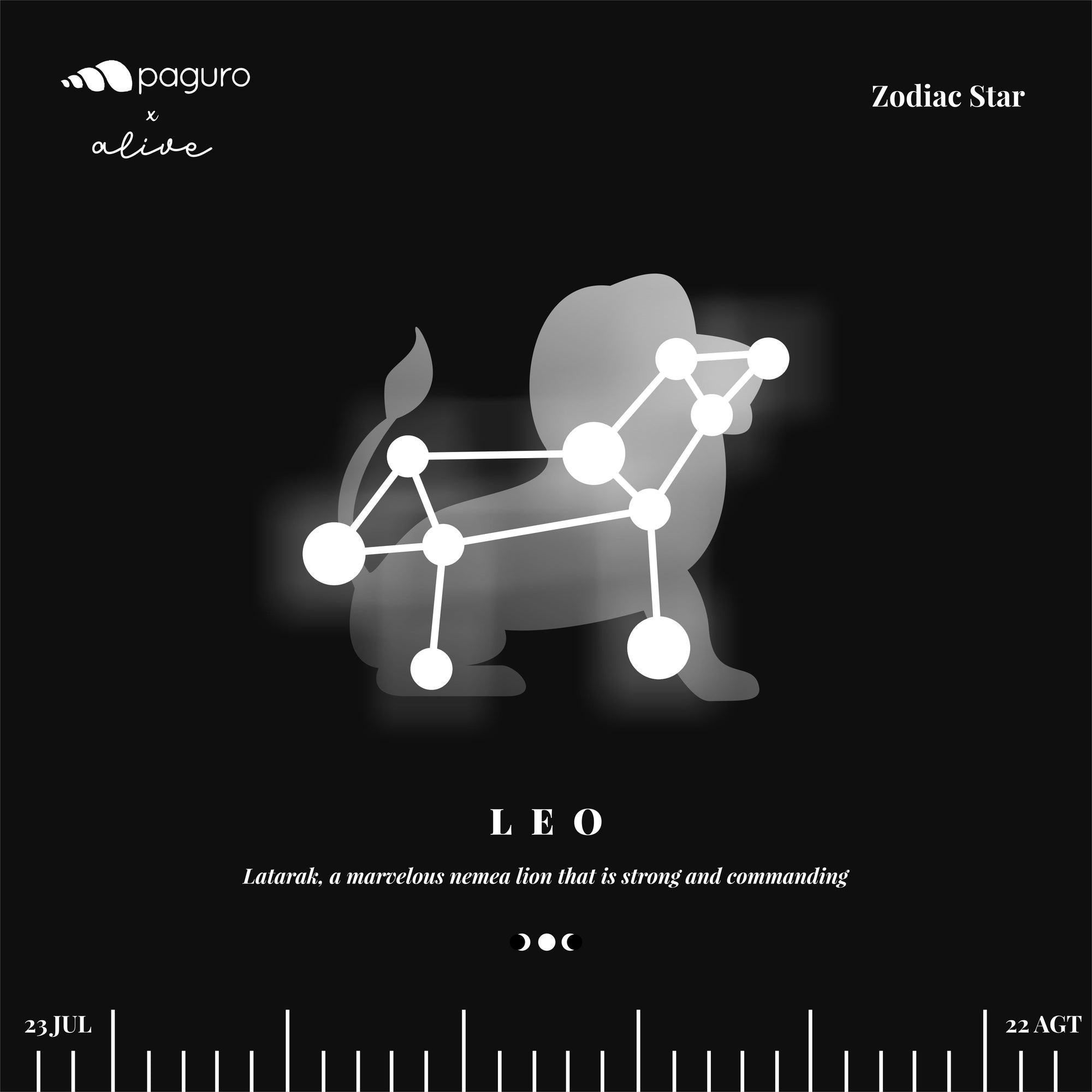 Leo Zodiac Sign Sustainable Necklace-3