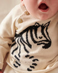 Lucky Zebra Jumper