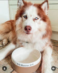 Large Dog Bowls