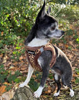 Tiny Trails Step In Luxury Leopard Fur Lined Puppy and Small Dog Harness
