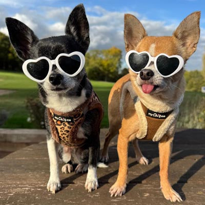 Tiny Trails Step In Luxury Leopard Fur Lined Puppy and Small Dog Harness