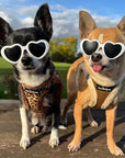 Tiny Trails Step In Luxury Leopard Fur Lined Puppy and Small Dog Harness
