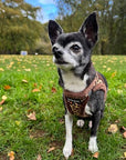 Tiny Trails Step In Luxury Leopard Fur Lined Puppy and Small Dog Harness
