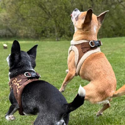 Tiny Trails Step In Soft Touch Suede Effect Faux Fur Lined Puppy and Small Dog Harness Mocha