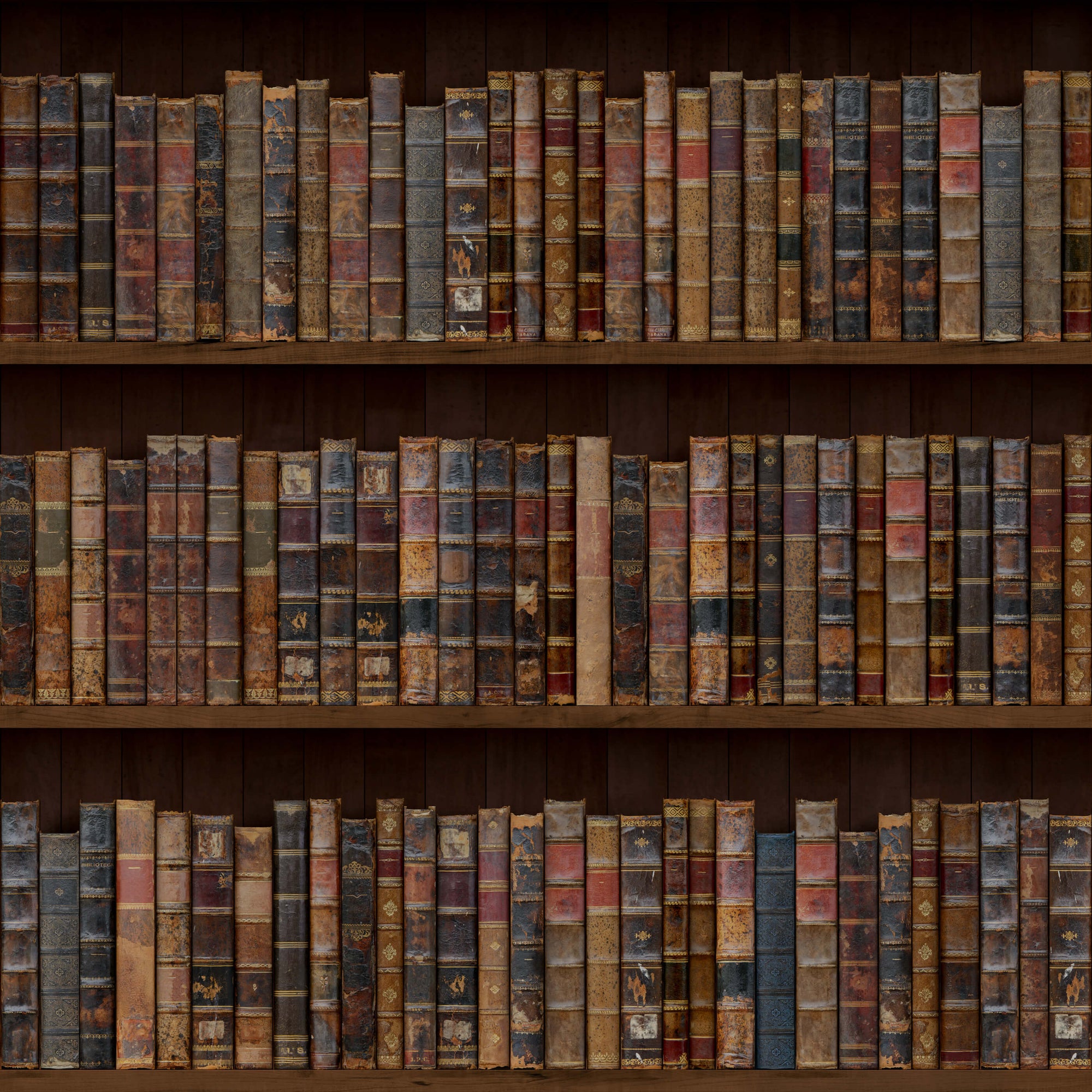Bookcase Wallpaper Libre