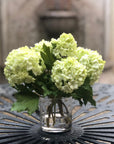 Real touch green hydrangea arrangement in glass vase - 8"