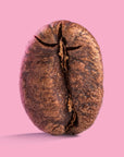 Colombia Finca Maracay