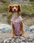 Pastal Petals Dog Cooling Vest