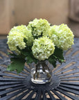 Real touch green hydrangea arrangement in glass vase - 8"