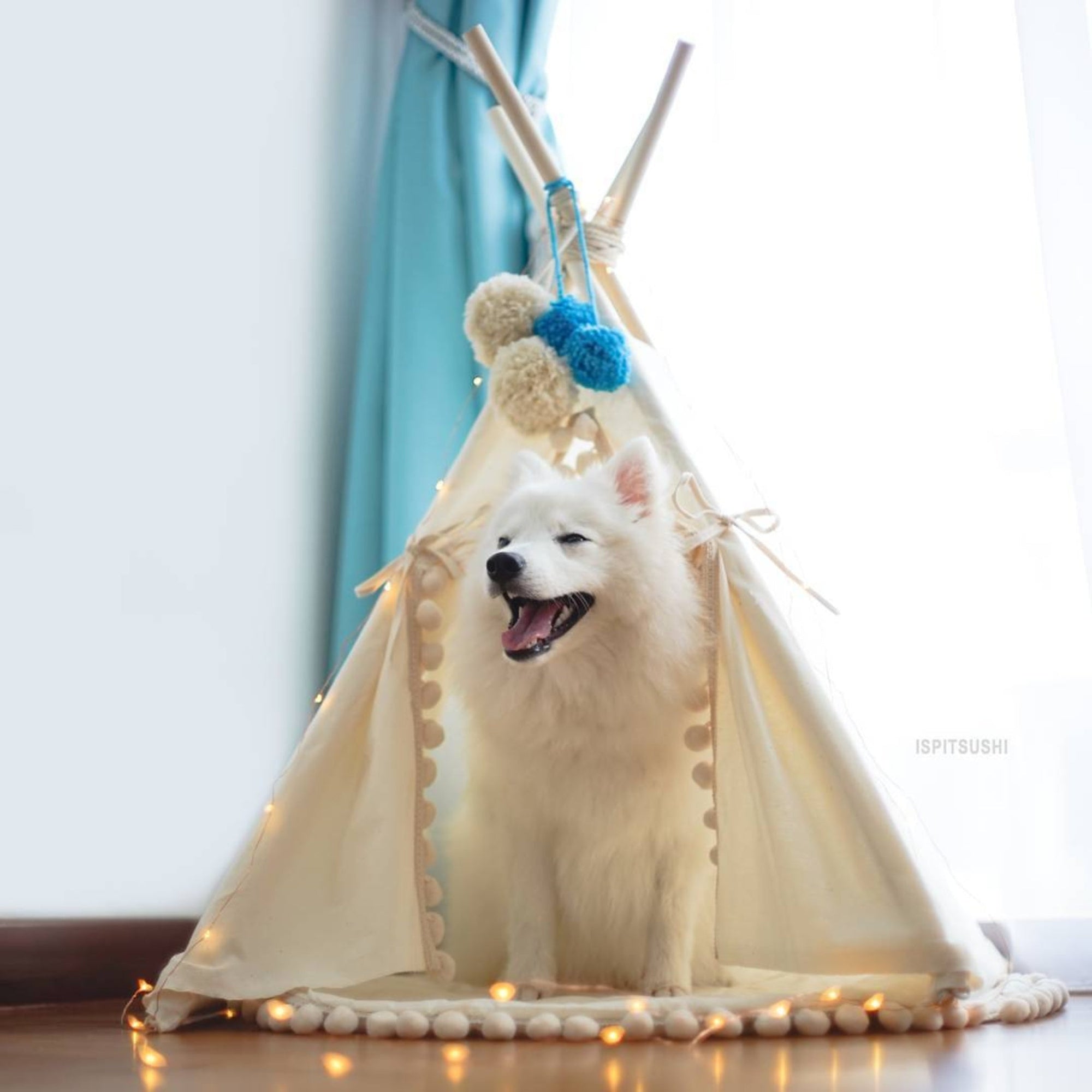 MINICAMP Dog Teepee &amp; Large Cat Tent - Cozy Ecru Pet Bed with Pompoms by Minicamp at brixbailey.com