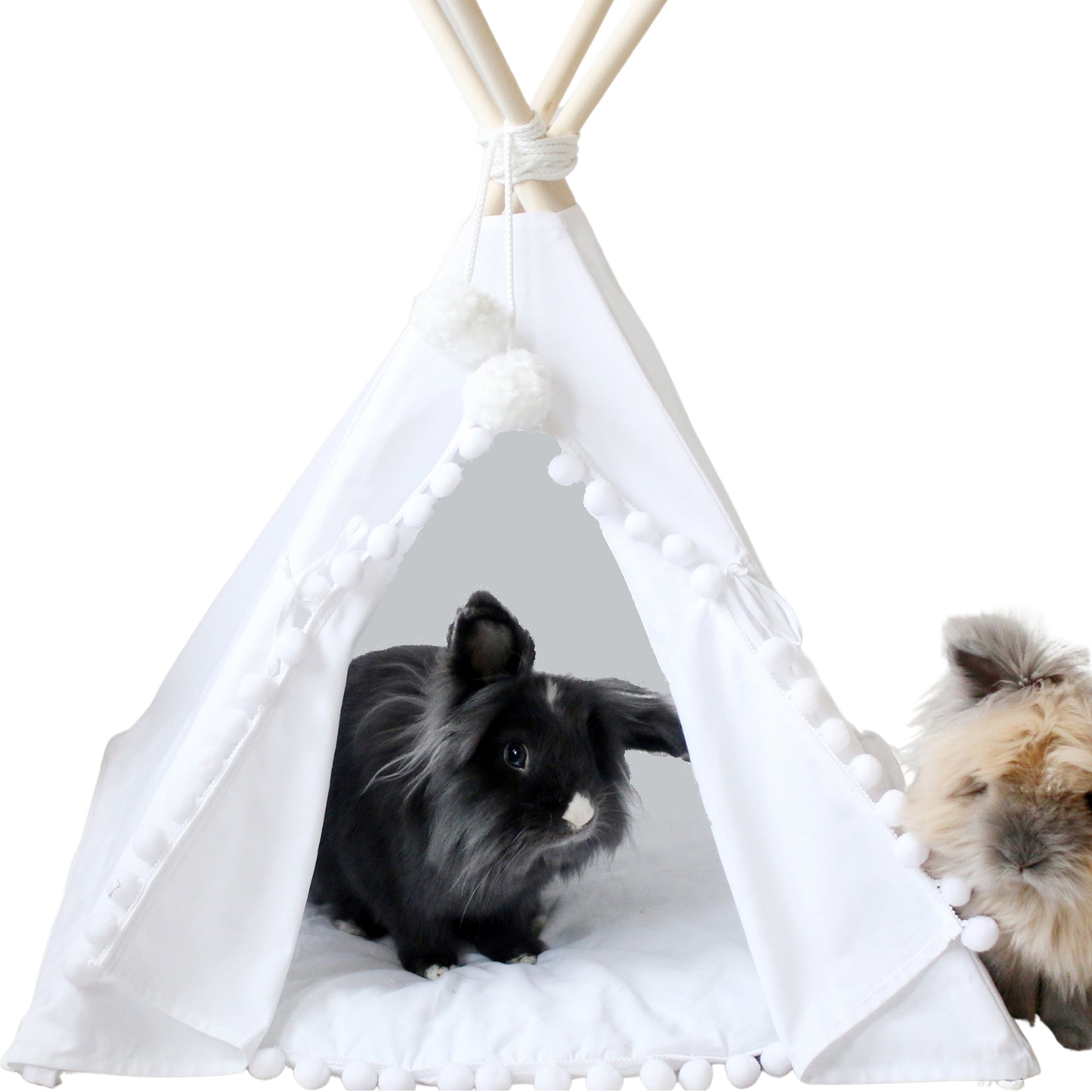 MINICAMP Rabbit Teepee Bunny Bed - Cozy Hideaway with Pompoms for Small Pets by Minicamp at brixbailey.com