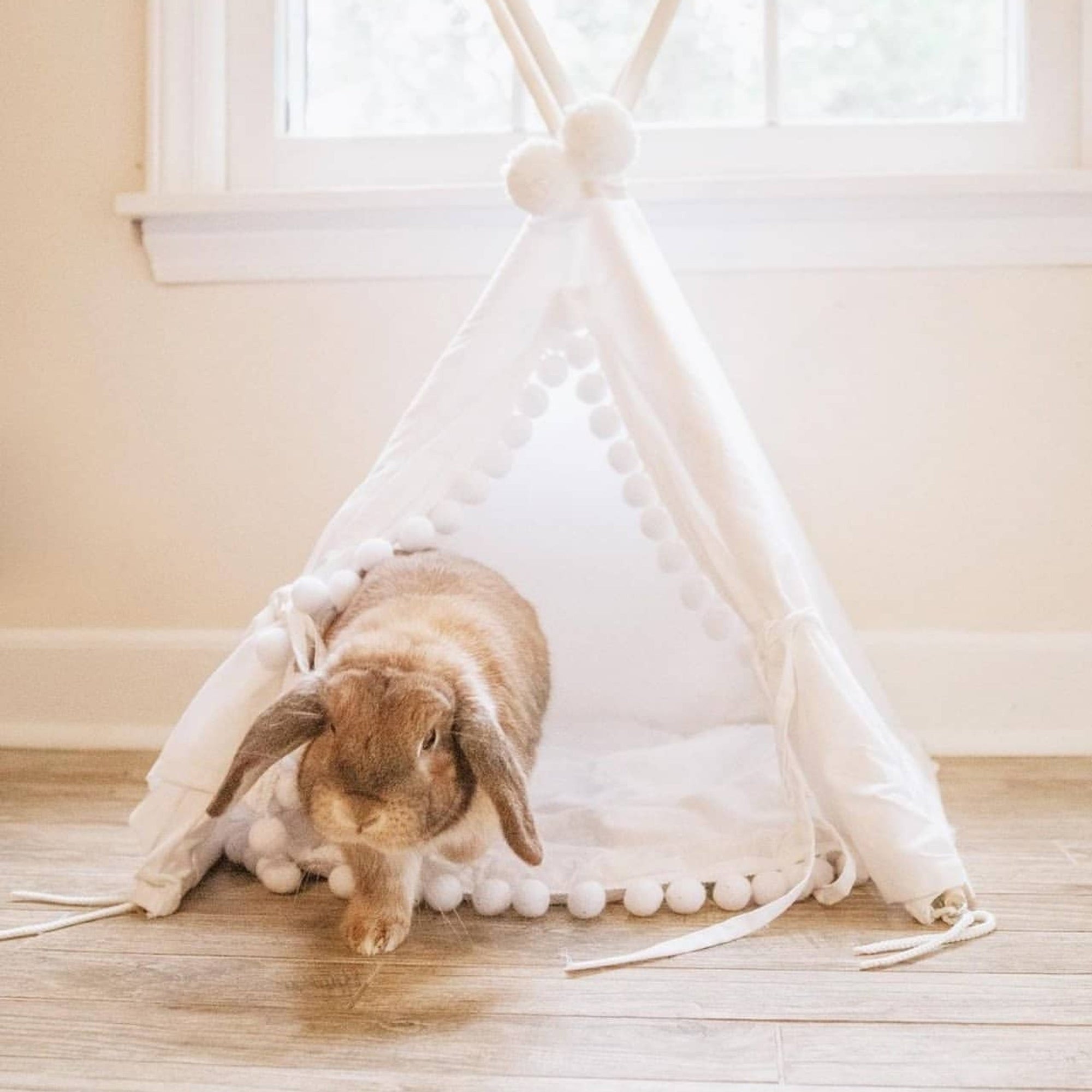 MINICAMP Rabbit Teepee Bunny Bed - Cozy Hideaway with Pompoms for Small Pets by Minicamp at brixbailey.com