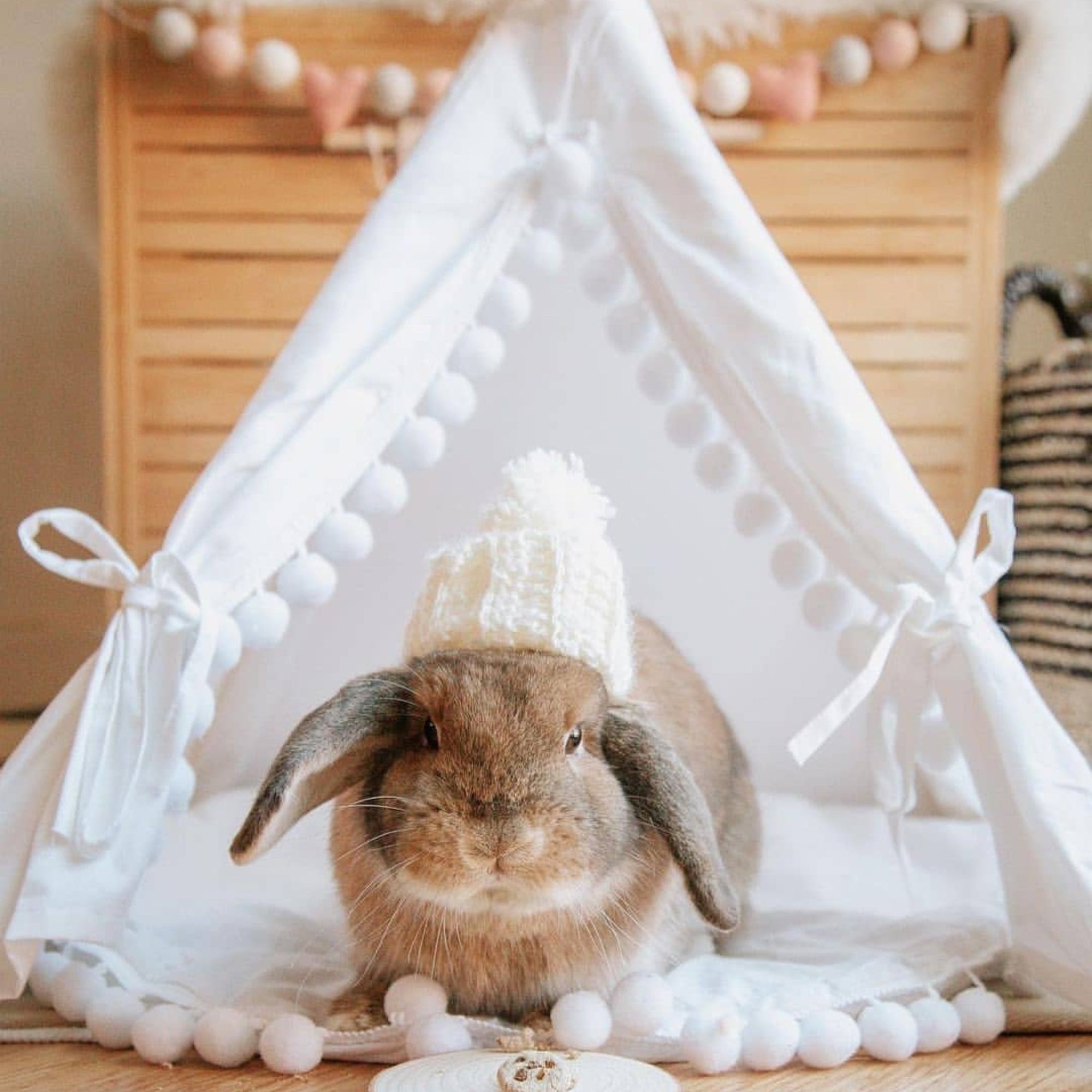 MINICAMP Rabbit Teepee Bunny Bed - Cozy Hideaway with Pompoms for Small Pets by Minicamp at brixbailey.com