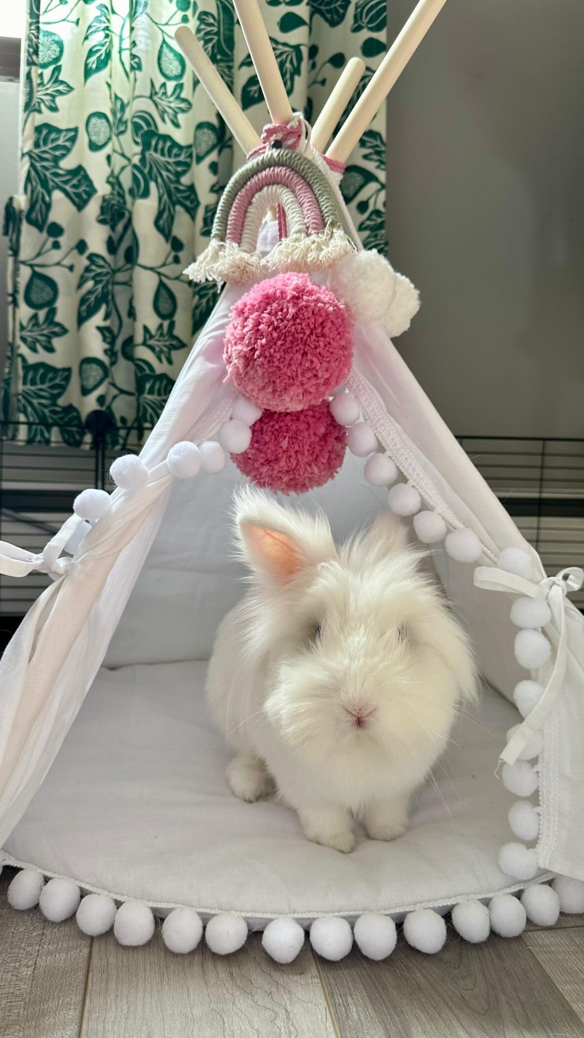 MINICAMP Rabbit Teepee Bunny Bed - Cozy Hideaway with Pompoms for Small Pets by Minicamp at brixbailey.com