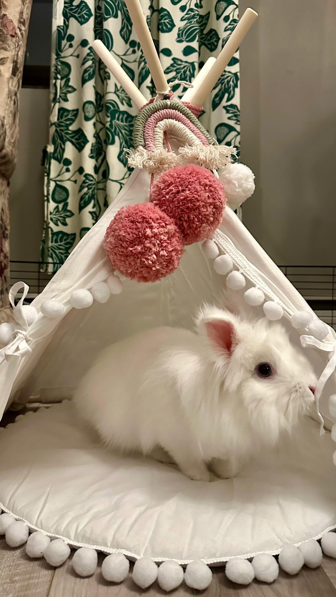 MINICAMP Rabbit Teepee Bunny Bed - Cozy Hideaway with Pompoms for Small Pets by Minicamp at brixbailey.com