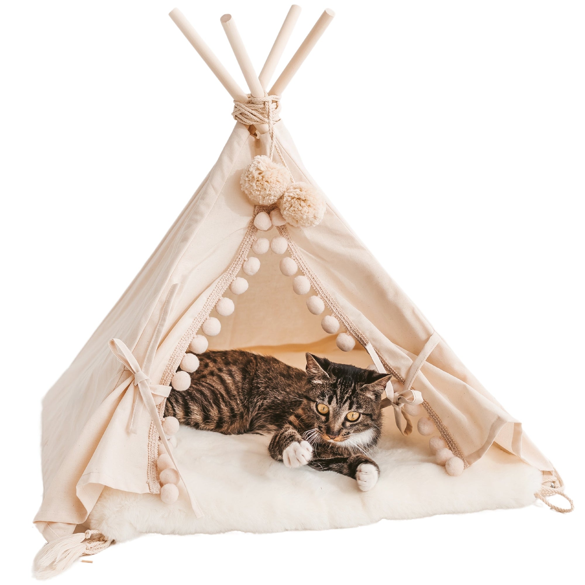 MINICAMP Teepee Tent for Cats, Dogs & Rabbits - Cozy Pet Retreat with Faux Fur Mat - 4 Sizes by Minicamp at brixbailey.com