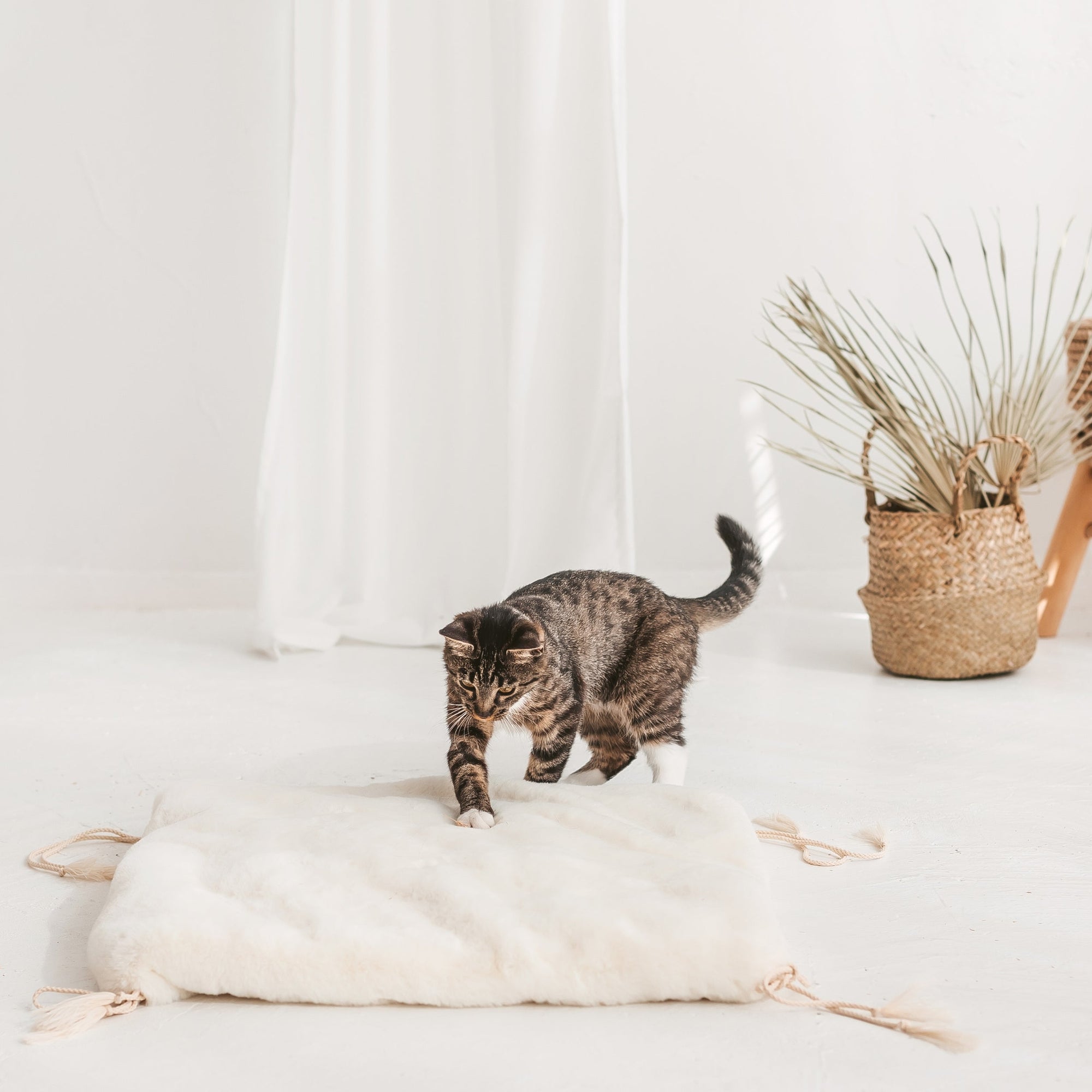 MINICAMP Teepee Tent for Cats, Dogs &amp; Rabbits - Cozy Ecru Pet Bed with Faux Fur Mat - OEKO-TEX® Certified by Minicamp at brixbailey.com