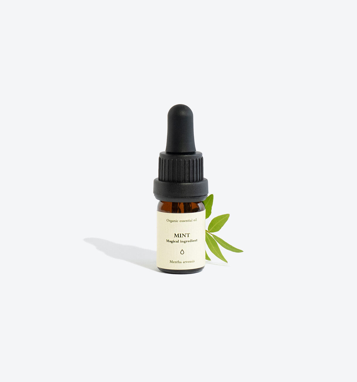 Organic Mentha Arvensis Oil – Enhance Mood &amp; Relieve Stress by Smells Like Spells at www.brixbailey.com