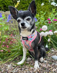 Luxury Blue Meadow Floral Dog Harness for Chihuahuas, Toy Breeds & Puppies