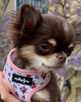Luxury White Vintage Floral Harness by My Pup and Me