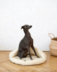 Natural Wool Pet Cave - White