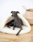 Natural Wool Pet Cave - White
