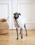 Woolen Dog Vest - Light Grey