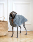 Woolen Dog Vest - Dark Grey