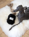 Natural Sheepskin Dog Tug Toy - Black