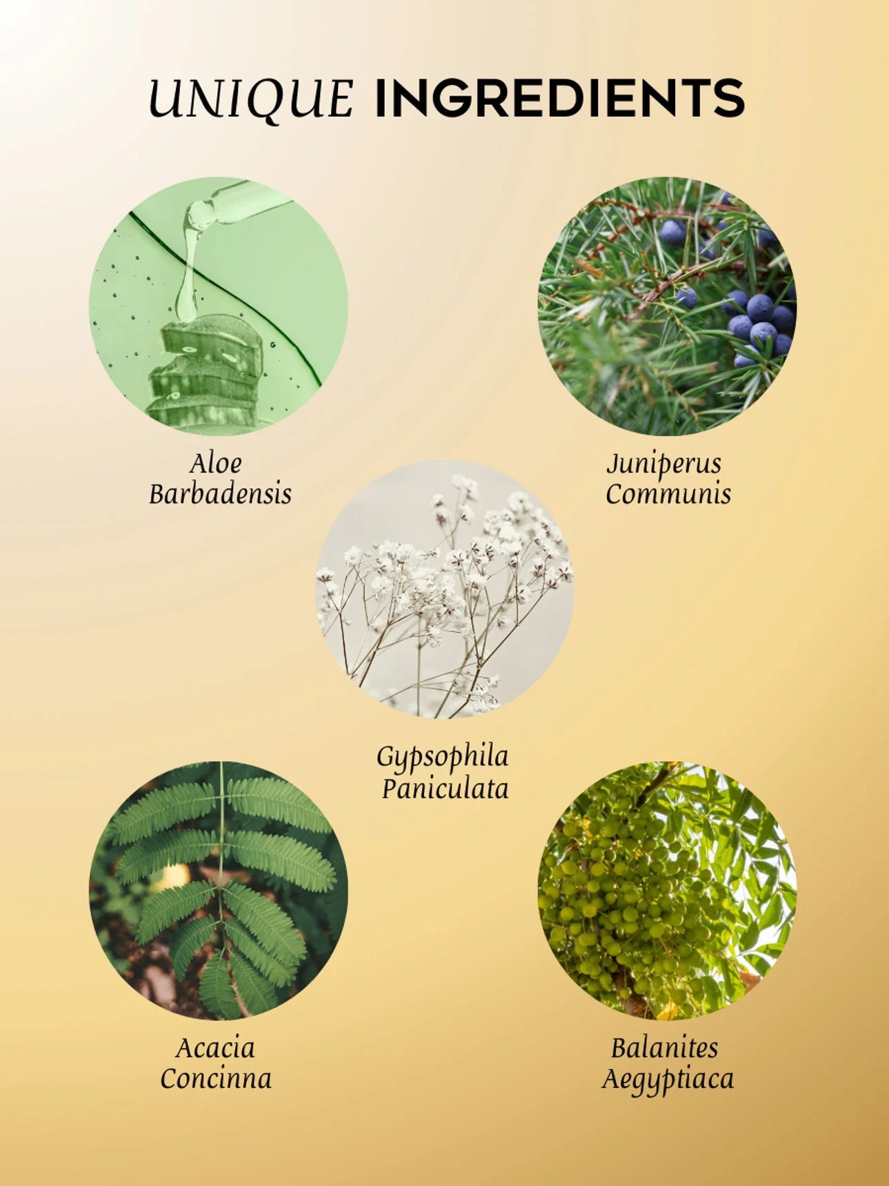 Luxurious Botanical Hand Soap with Sparkling Wine Aroma – Vegan &amp; Cruelty-Free by Magrada Organic Cosmetics at www.brixbailey.com