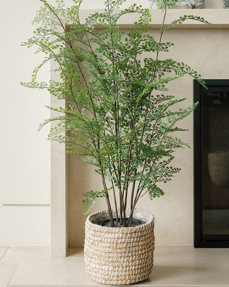 Faux Maidenhair Fern Plant, 48"