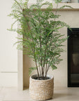 Faux Maidenhair Fern Plant, 48"