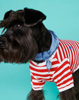 Striped T-Shirt - Portuguese Cotton