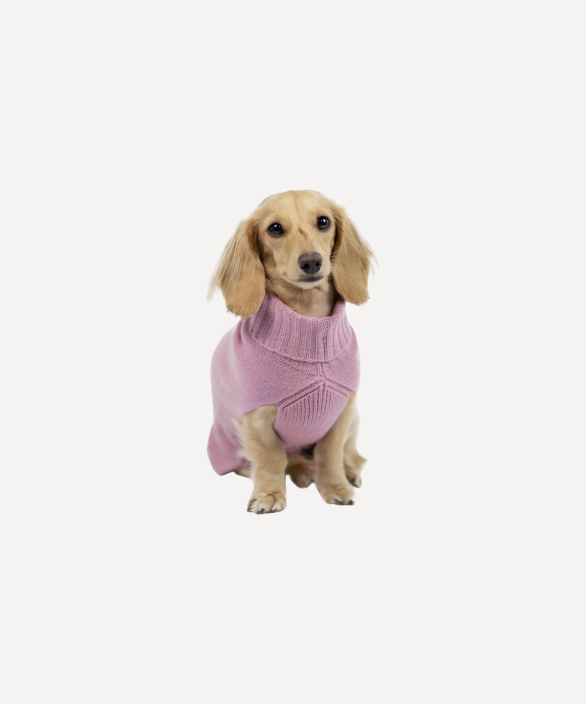 Pink Cashmere Dog Jumper