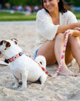 Boho Collection Dog Leash – A style that combines hippie blaze of colors with casual surfers and bohemian originality. by Matteo at www.brixbailey.com