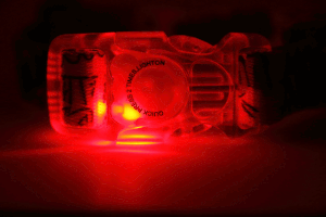 Boho Collection Dog Collar – Unique Waterproof and LED Buckle Design for Style & Safety by Matteo at www.brixbailey.com